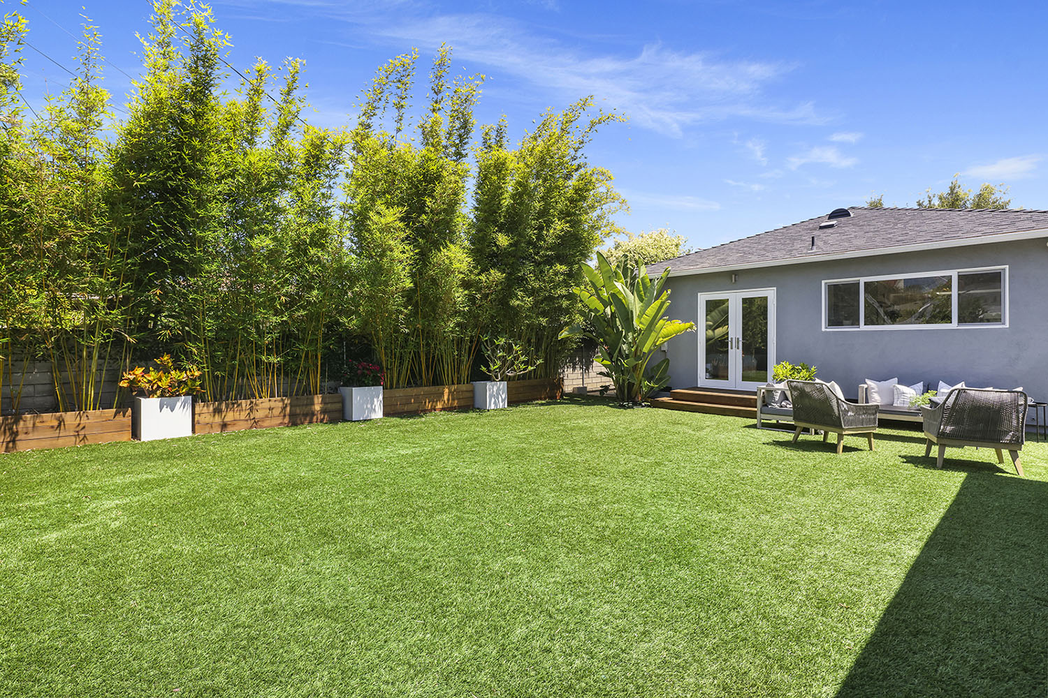 back yard 3